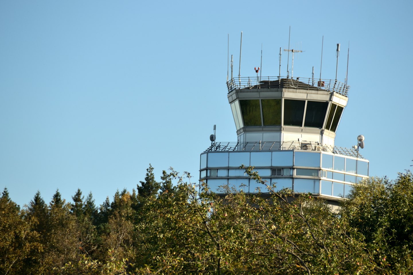 Air traffic control tower standing among tall green trees.
